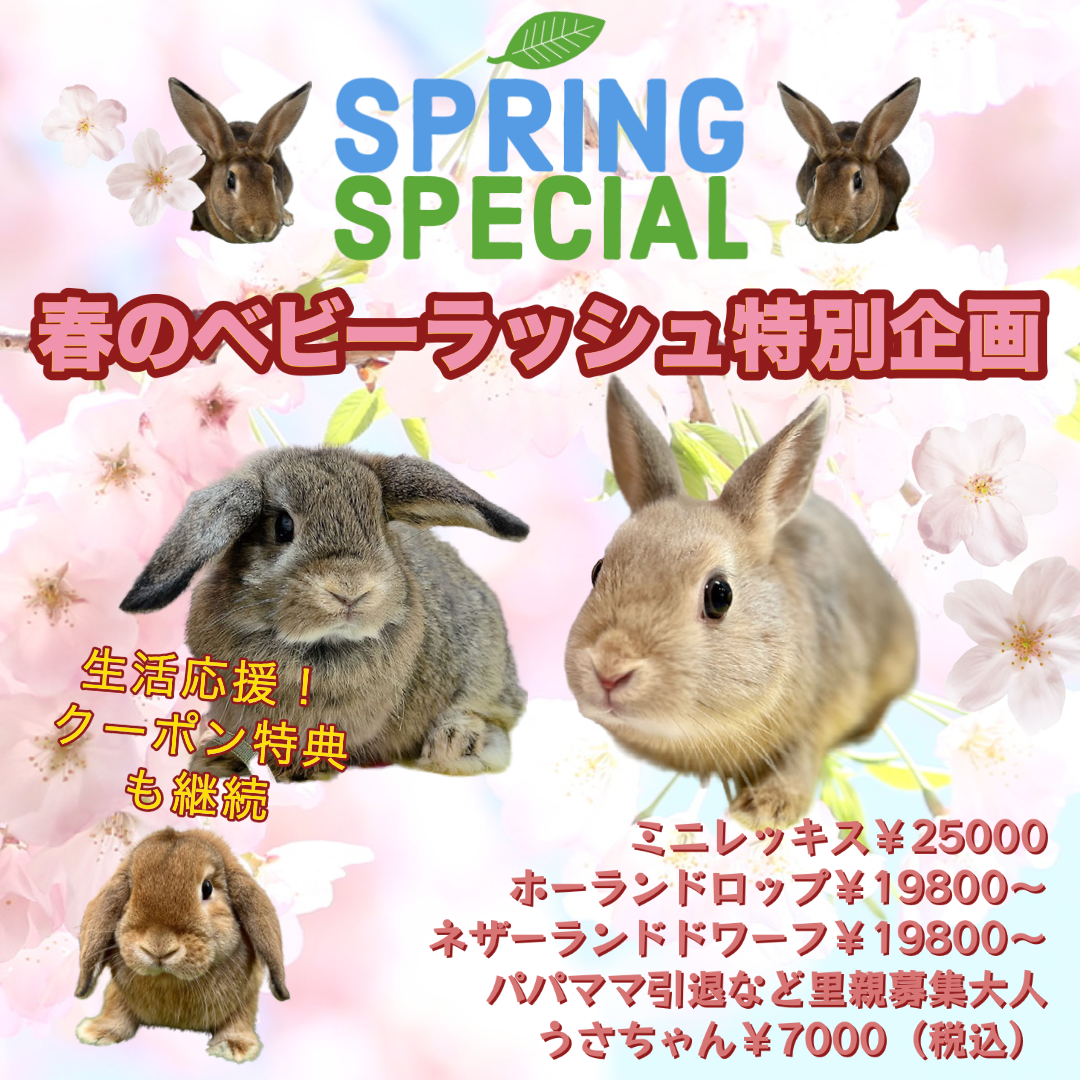 春セール コピー-1