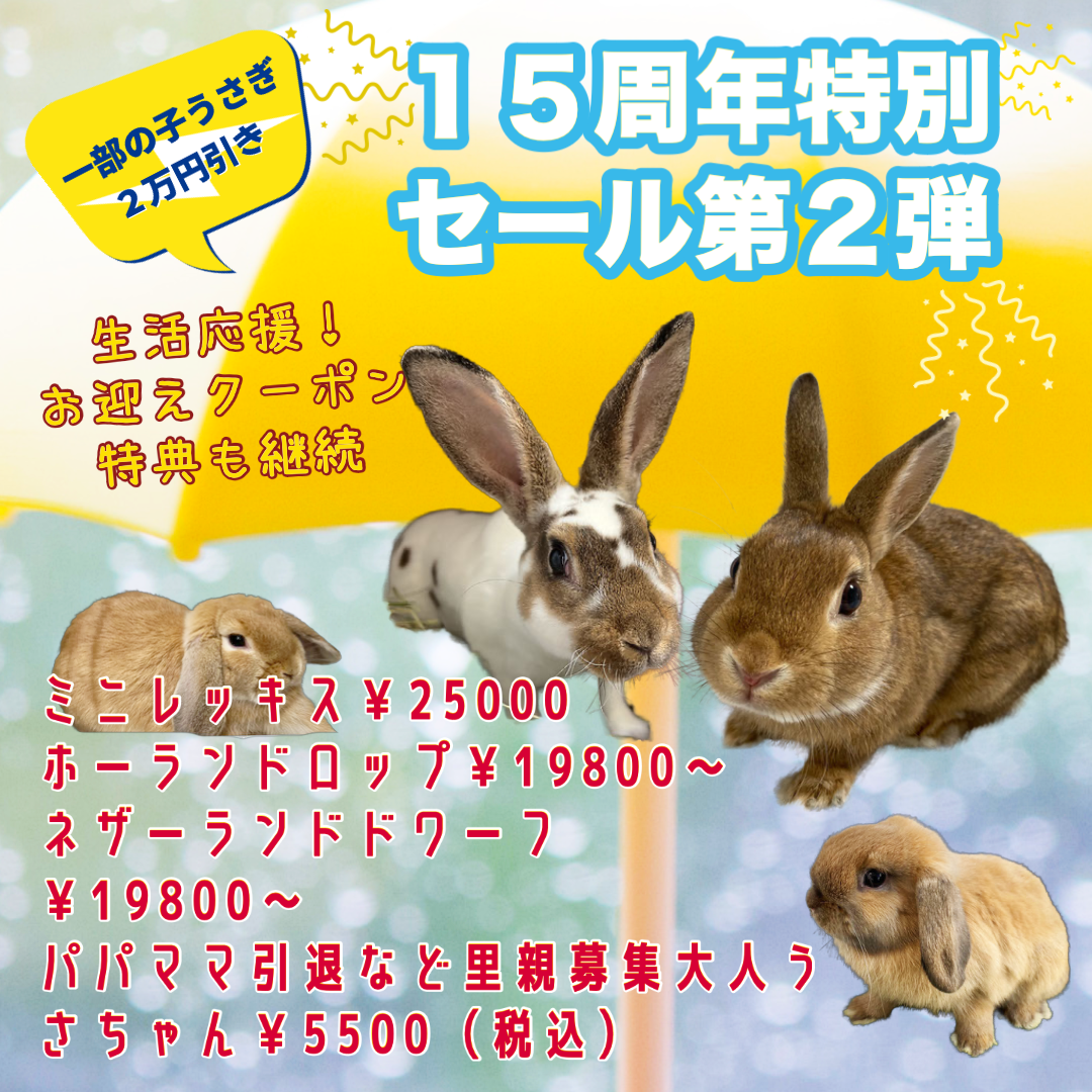 6月セールバナー ２-1
