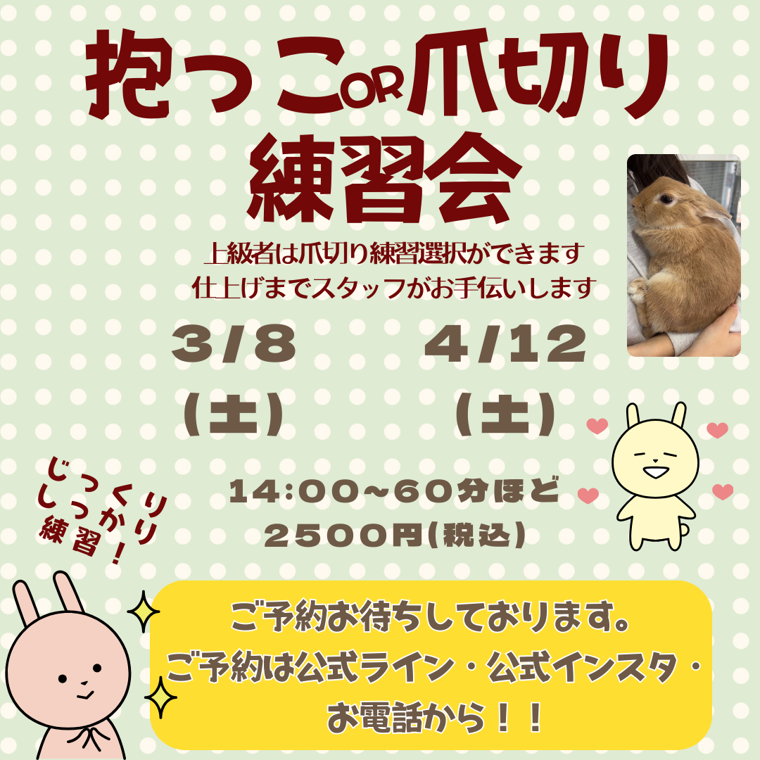 イベント告知-3